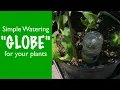 Plastic Watering Globe for your Plants