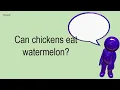 Can Chickens Eat Watermelon