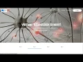 Demo of The Virtual Summits Software