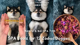 【ASMR】 Manyu's SPA Tools for 12 Zodiac Doggies | Extended Relaxation