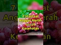 Download Lagu 7 Manfaat Anggur Merah untuk Kesehatan Tubuh #hidupsehatalami #sehatalami