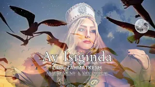 BirArzuTut بازخوانی موزیک آی ایشیغیندا لیدا زحمتکش Lida Zahmatkesh Ay Işığında 