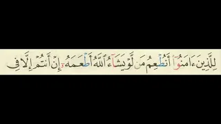 سورة يس مكتوبة وبجودة صوت عالية     الشيخ ماهر المعيقلى دندنها