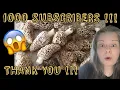 2023 Morel Mushrooms 1000 Subscribers Foray Drawing Info Plus Illinois Morel Hunt