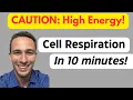 Overview of Cell Respiration