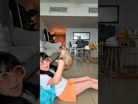 القطه انصدمت 😂😂