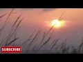 Best Of Arabian Style Hip Hop Trap Beats [Middle East Trap] 🎧 CHILL VIBES MOOD BOOSTER | RELAX VIBES