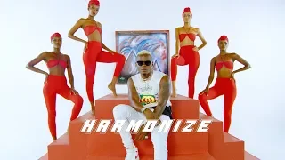 harmonize x rayvanny paranawe official music video 