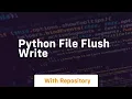 python file flush write