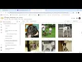 image classification from scratch in Google Colab Computer Vision Deep Learning