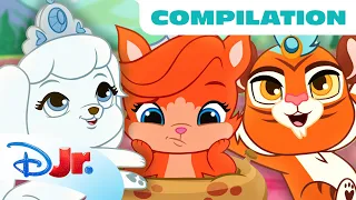 Whisker Haven Tales with the Palace Pets Mega Compilation! 🐾👑 | 45 Minutes | Disney Jr.