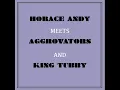 Something Dub- Horace Andy Meets Aggrovators & King Tubby