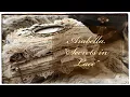 Junk Journal Flip Through - Arabella Secrets in Lace