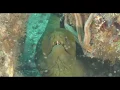 Snow Day San Carlos - Paragon Dive Adventures