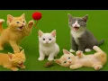 Lagu Cutest Kittens Ever! 🐾😻 Kittens Playing with Puppies, Rabbits \u0026 Friends – Soothing Meows