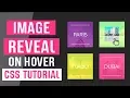 Image Reveal On Hover CSS CSS Image Effects CSS Tutorials