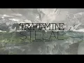 Download Lagu Tryptamine - Stelae (Official Music Video)