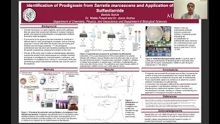 Identification of Prodigiosin from Serratia marcescens and Sulfanilamide