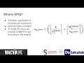 SPIQ Data-Free Static Per-Channel Input Quantization