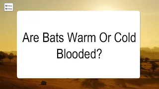 Are Bats Warm Or Cold Blooded
