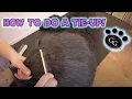 How To Do A Tie Up On A Dog - Gina s Grooming