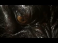 Download Lagu Never Cry Werewolf - Werewolf Transformation