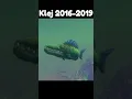 Download Lagu Fish feed and grow fishs evolution - #revivefeedandgrowfish #feedandgohome #feedandgrowfish
