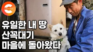 도시에 가족을 남겨두고, 여기로 다시 돌아왔다. 시간이 멈춘 산꼭대기 마을, 유일하게 가진 내 땅에서 혼자 사는 할아버지의 홀로 살이ㅣ#한국기행