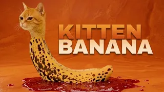 KITTEN BANANA Chicken Banana Parody