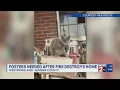 Cats dogs found in unsafe unsanitary conditions in TN county