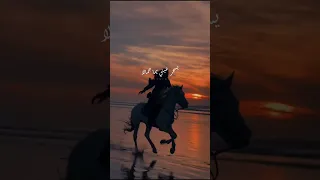 الاخرس سكابا و المهرة بتعرف خيالا يبا نيالا نيالا الاخرس الأخرس ستوريات ستوري اكسبلور لايك 