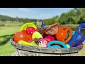 Entertaining Doggy Daycare TV - Ultimate Dog Video for Dogs To Watch - Dog Sounds Barking Squeak Toy