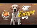 Download Lagu Escape Song - 777 Charlie | Rakshit Shetty | Kiranraj K |Nobin Paul | Paramvah Studios