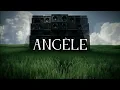 Angèle - Dis-le | Tradução