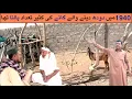 Download Lagu Balochi Old History By Nako Jangian | Balochi Traditional  | Balochi Village Life🔥Kech e Dastan