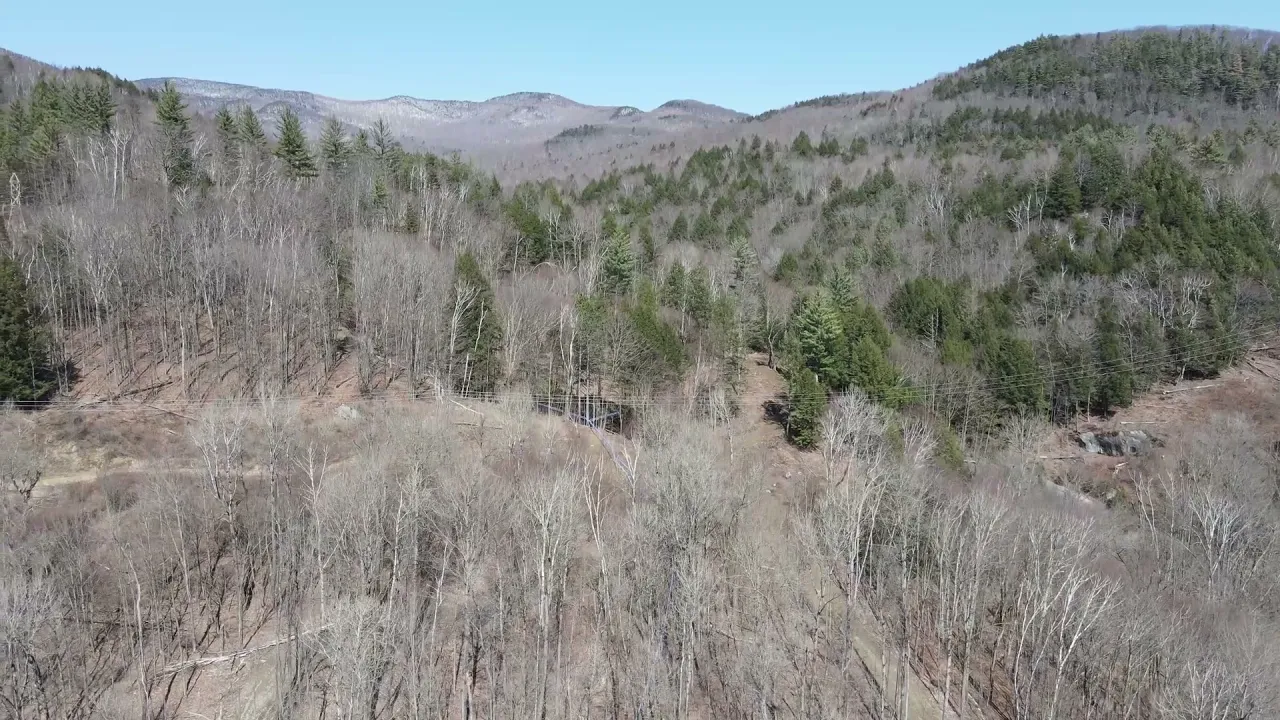 Flying Over a Vermont Sugar Bush