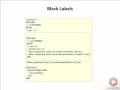 08 Labels in PL SQL