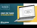 How to Crop PDF Pages in Bluebeam Revu 21 Trim or Crop PDFs