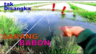 Download 🔴 MERAGUKAN SPOT ❗ HASILNYA TAK DISANGKA SANGKA || Branjang / Anco /Jaring Ikan MP3