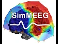 How to run SimMEEG Tutorial