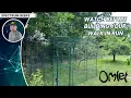 Omlet Walk In Chicken Run Assembly Tips Product Review