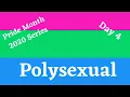 Pride Series Day 4 Polysexual - Part of the Plus in LGBTQIA