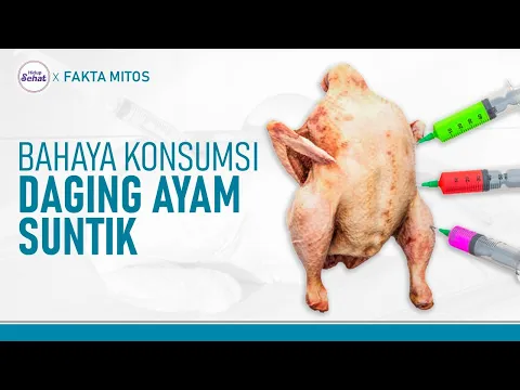 Benarkah Ayam Negeri (Broiler) Disuntik Hormon? Ini Jawaban Dokter