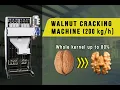 Walnuts cracking machine Walnuts processing