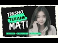 Download Lagu DJ TRESNA TEKAN MATI - NDX AKA - DJ VIRAL TIKTOK TERBARU 2025 NUSA RMX