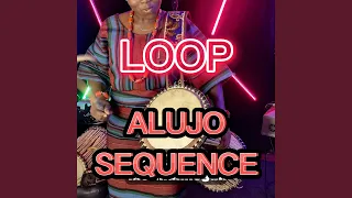 alujo highlife sequence loop