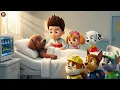 Lagu Farewell Zuma?😱 What happened to Zuma? PAW Patrol Fanmade.