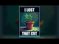 Blue Dream: Is There an Original Cut? The Record Does Not Settle It | Full Season