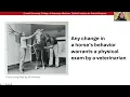 Behavior Medication Considerations for Horses Cornell Equine Seminar February 2025
