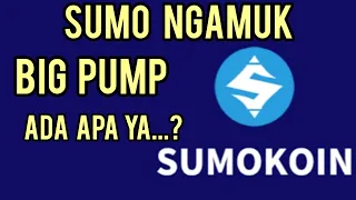 Download SUMO NGAMUK BIG PUMP ADA APA YA  MP3